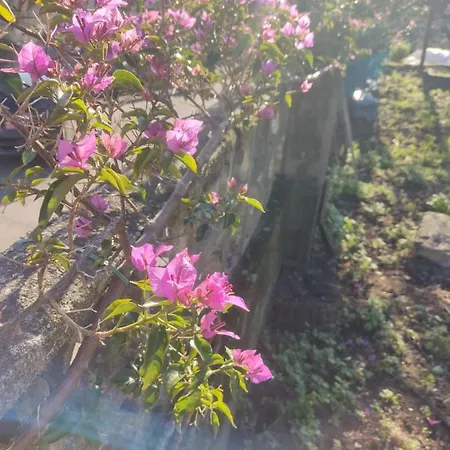 Casa Dolores Do Conde * 庞特维德拉